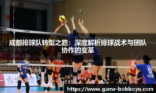 成都排球队转型之路：深度解析排球战术与团队协作的变革