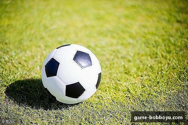 关于BOB博鱼体育